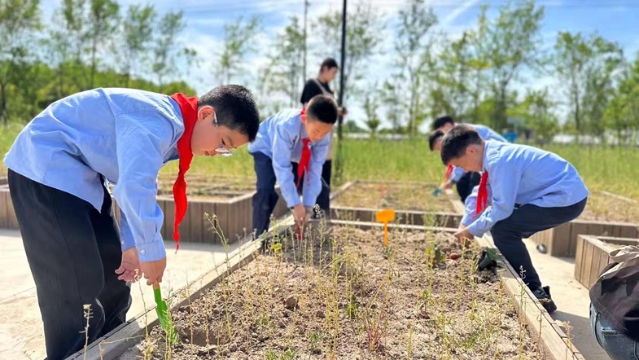 探秘科技农业 争做小小“绿领”| 海门实小师生走进常乐镇农业科技园