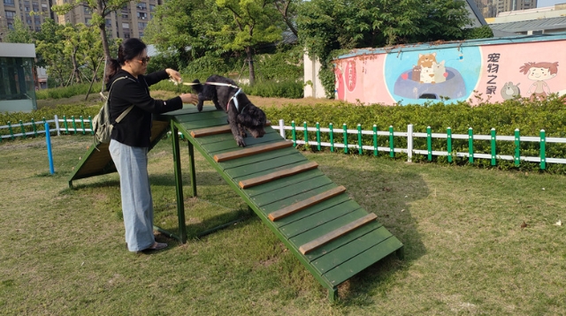 崇川建成全市首个萌宠主题小游园