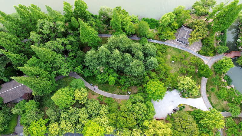 视频 | 水清岸绿好生态！航拍濠东绿苑初夏美景