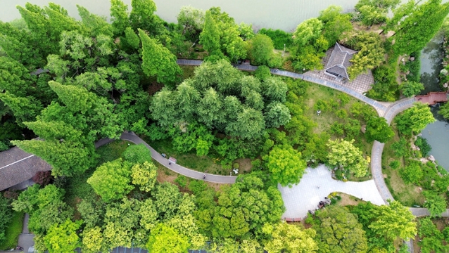 视频 | 水清岸绿好生态！航拍濠东绿苑初夏美景