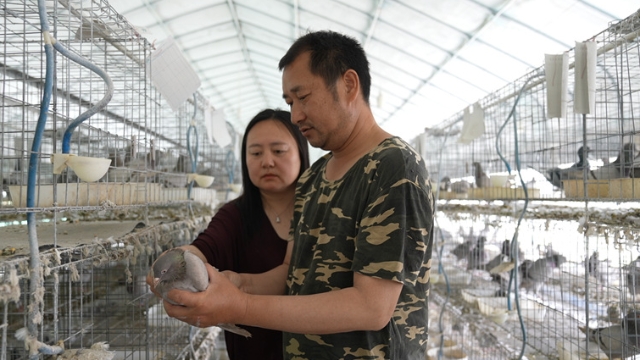至4月底如东今年已开展大型农业招商活动13场 年度计划总投资达14.5亿元