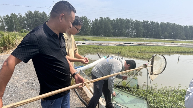 全力保障水产养殖稳产增收 | 市水产站开展高温天气水产养殖指导