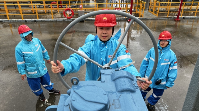 应对“风雨考验” 如东阳光岛筑牢“保供防线”