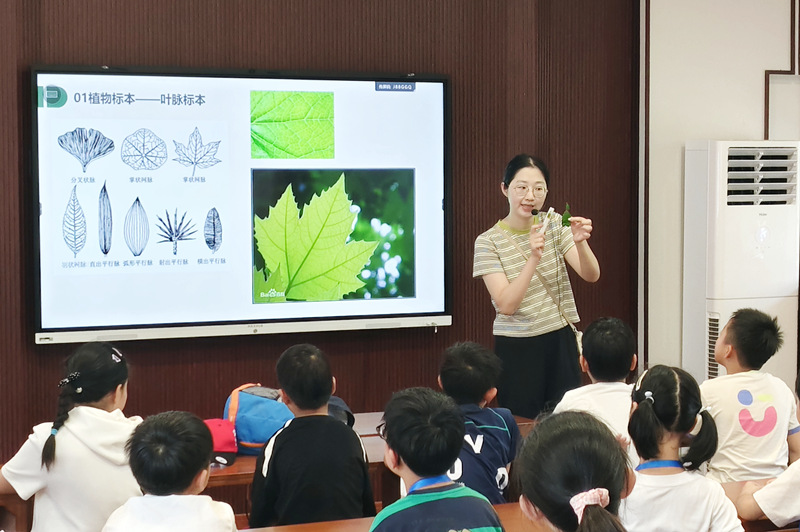 探秘植物王国 感受自然之美 | 南通博物苑“七彩夏日·通博seek自然行”收官