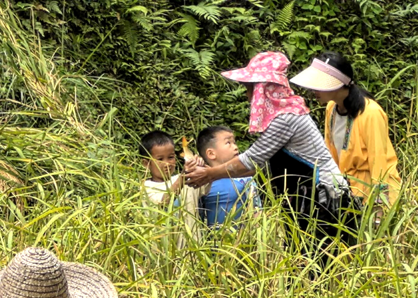 微信图片_20251009150321_672_9