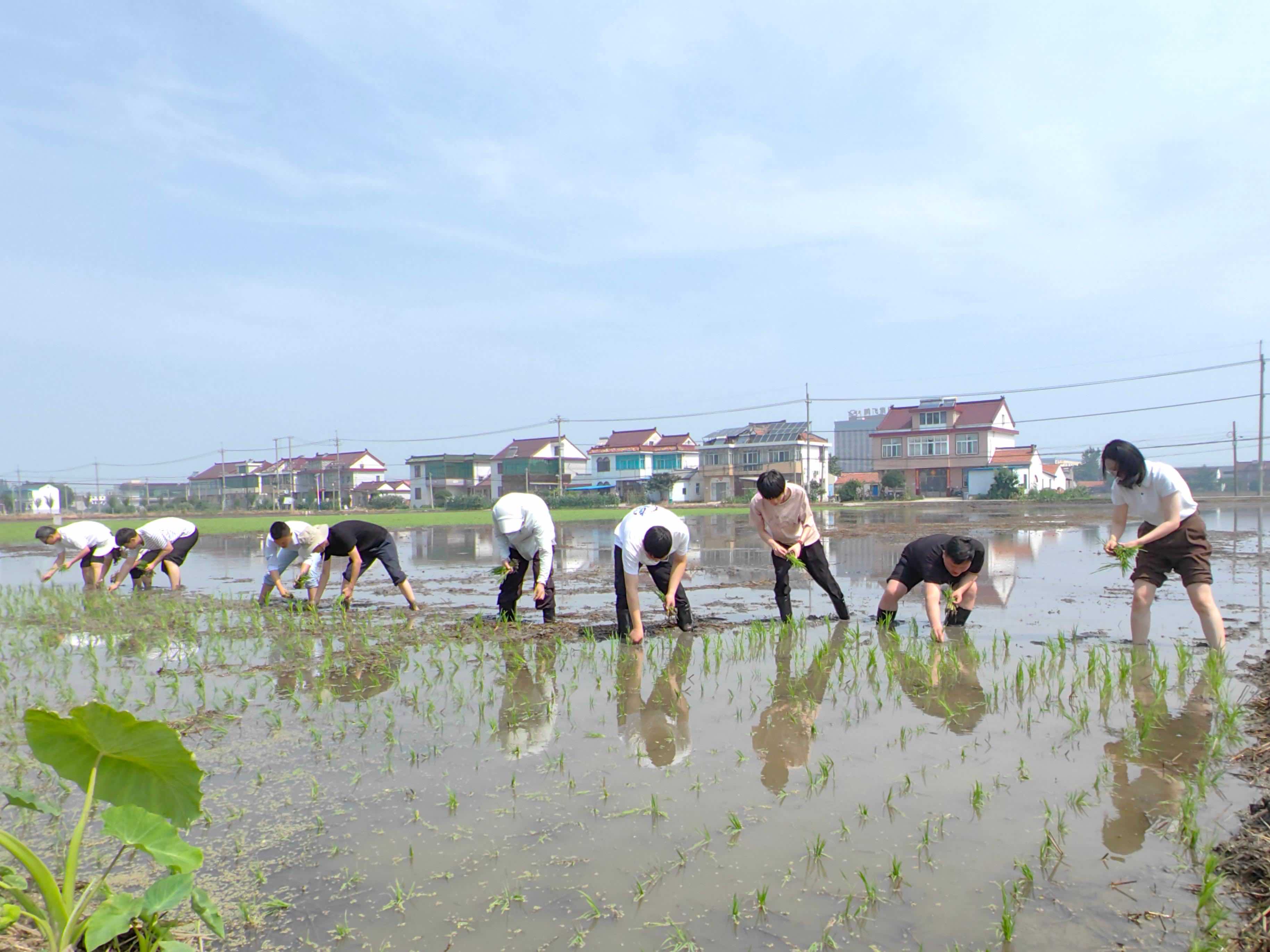 海安大公镇：“田间课堂”赋能年轻干部 深耕一线助力乡村振兴
