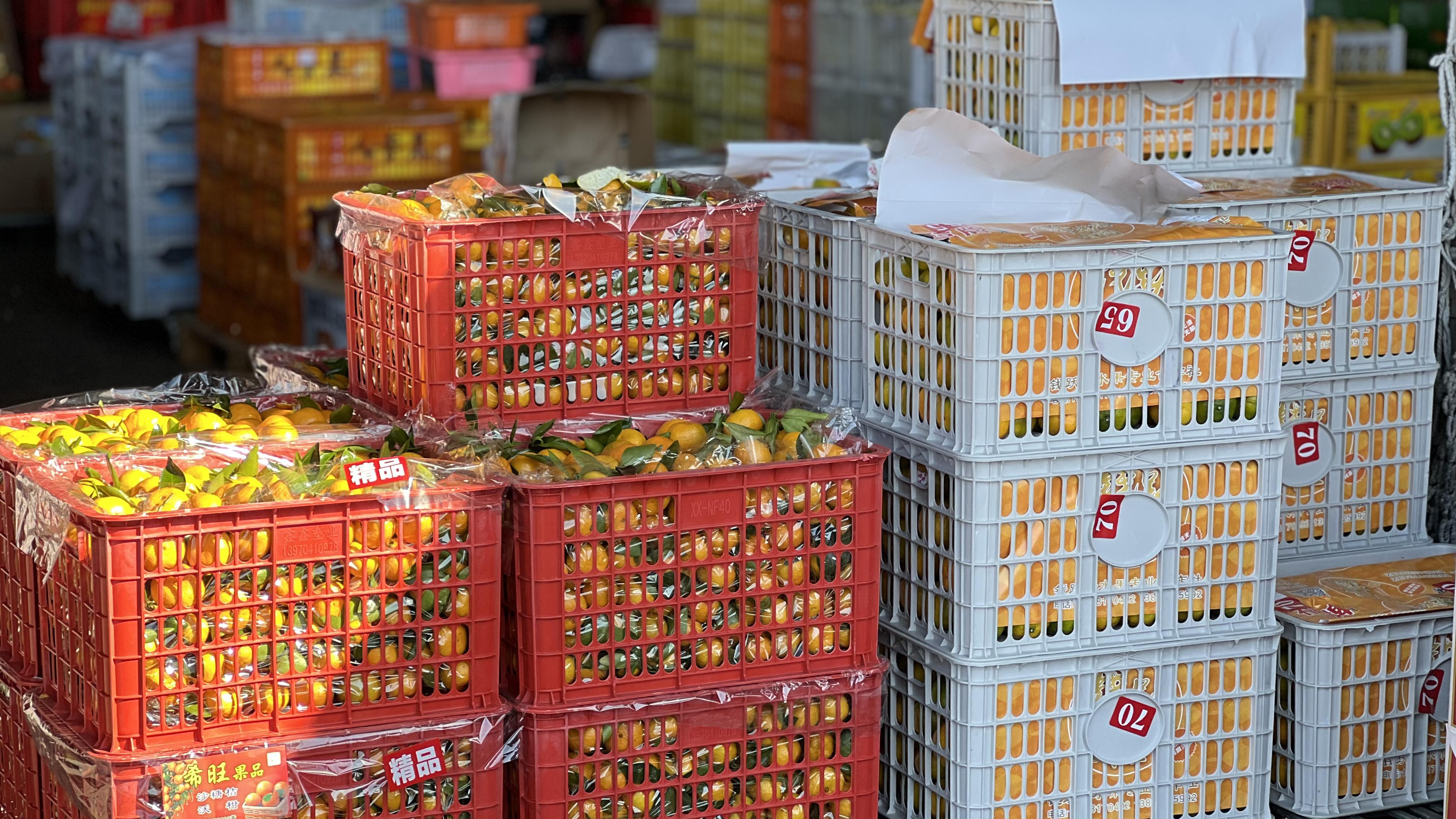 通城柑橘类水果集中上市 货源充足价格稳中有降