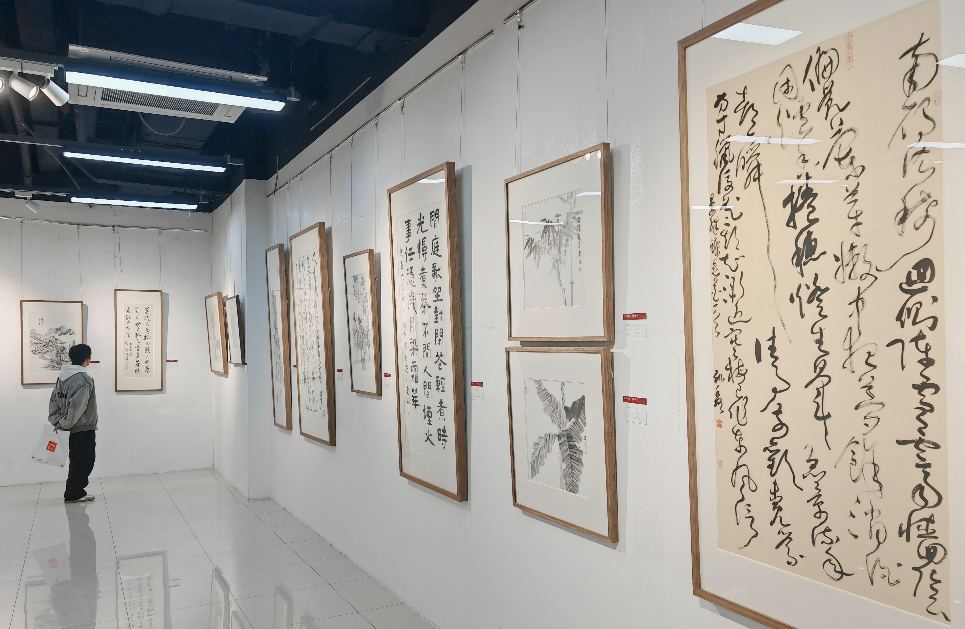 IMG_20251029_115031_1