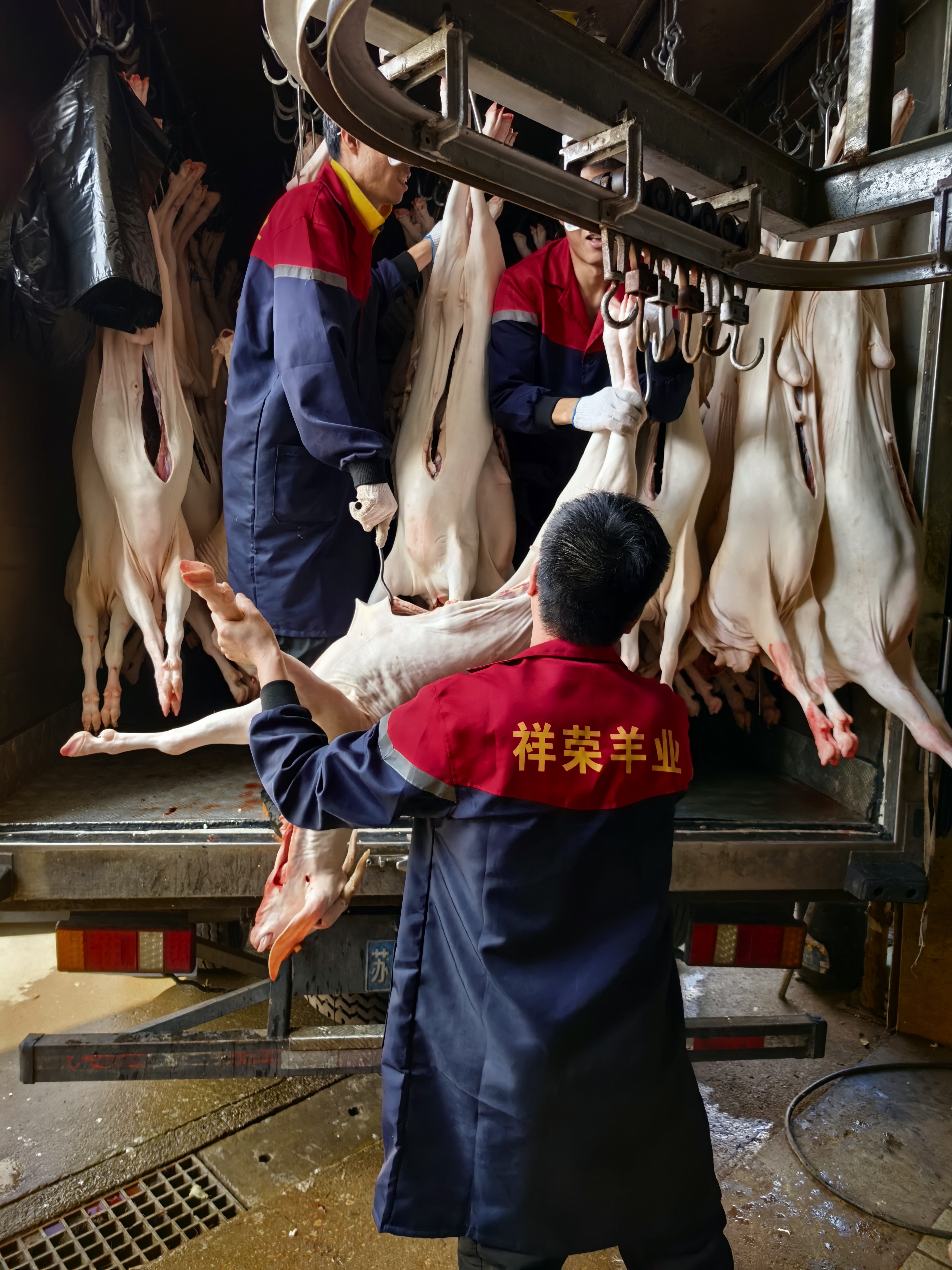 微信图片_20251029151619_732_102