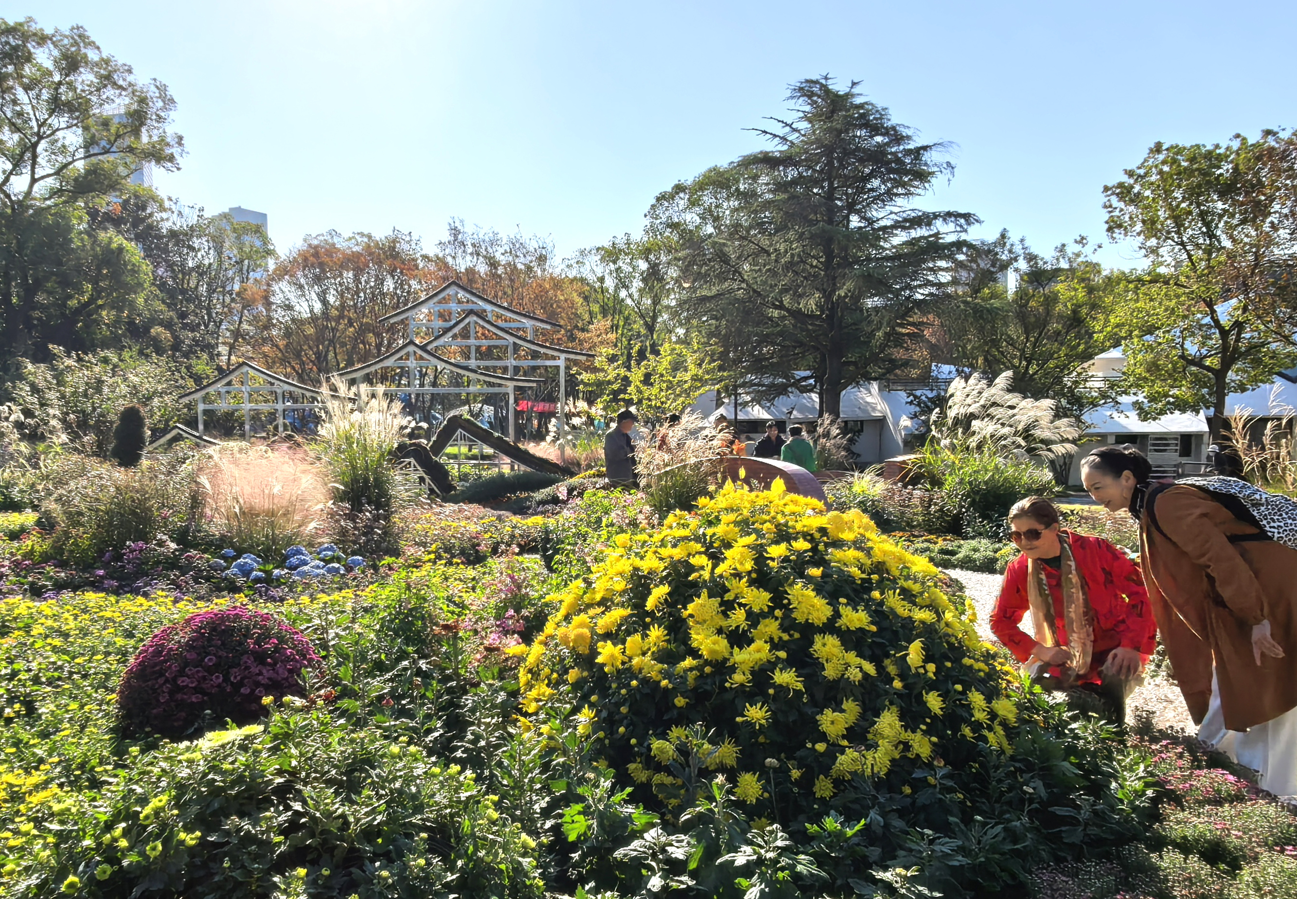 微信图片_20251029095642_1043_9