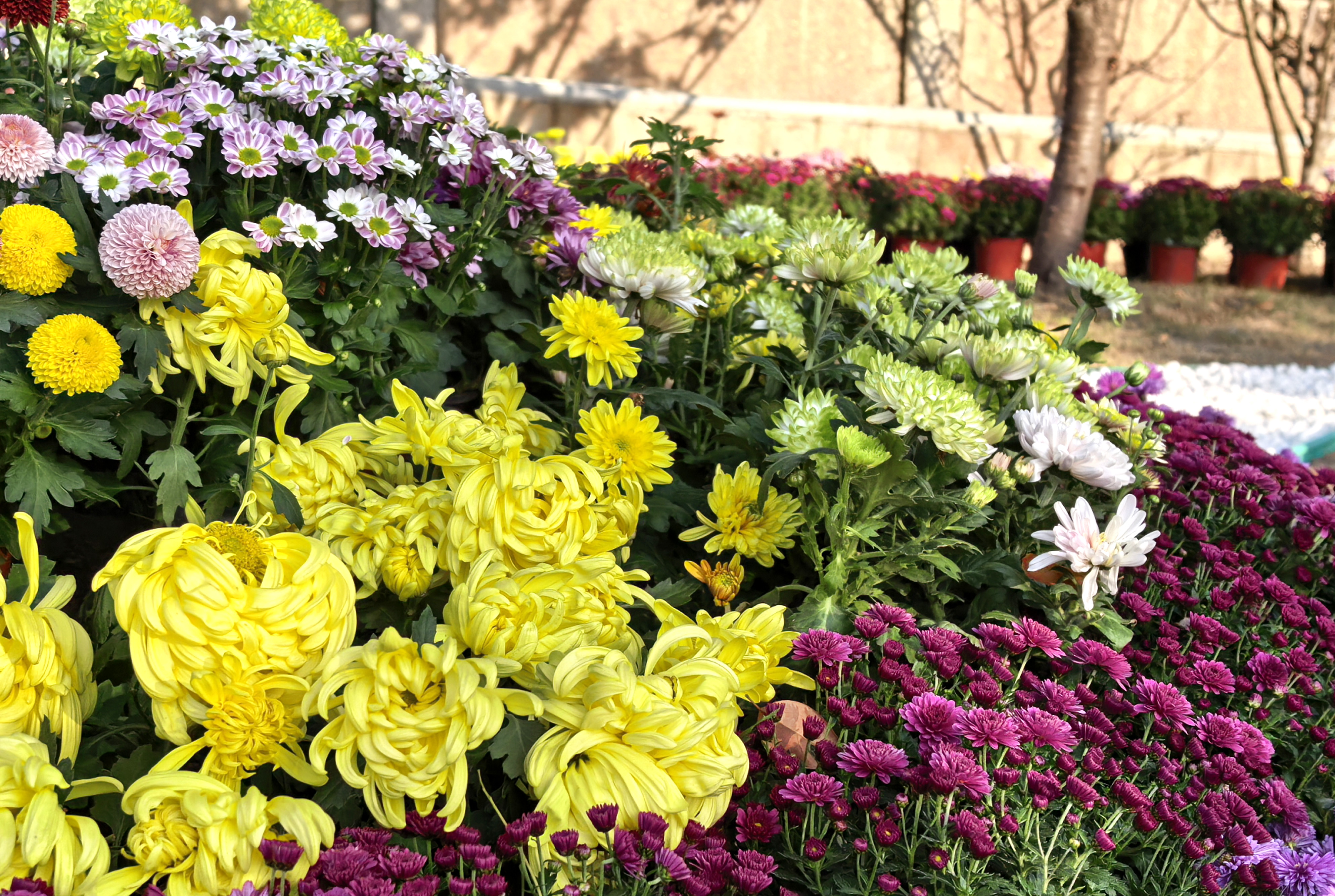 微信图片_20251029095726_1059_9