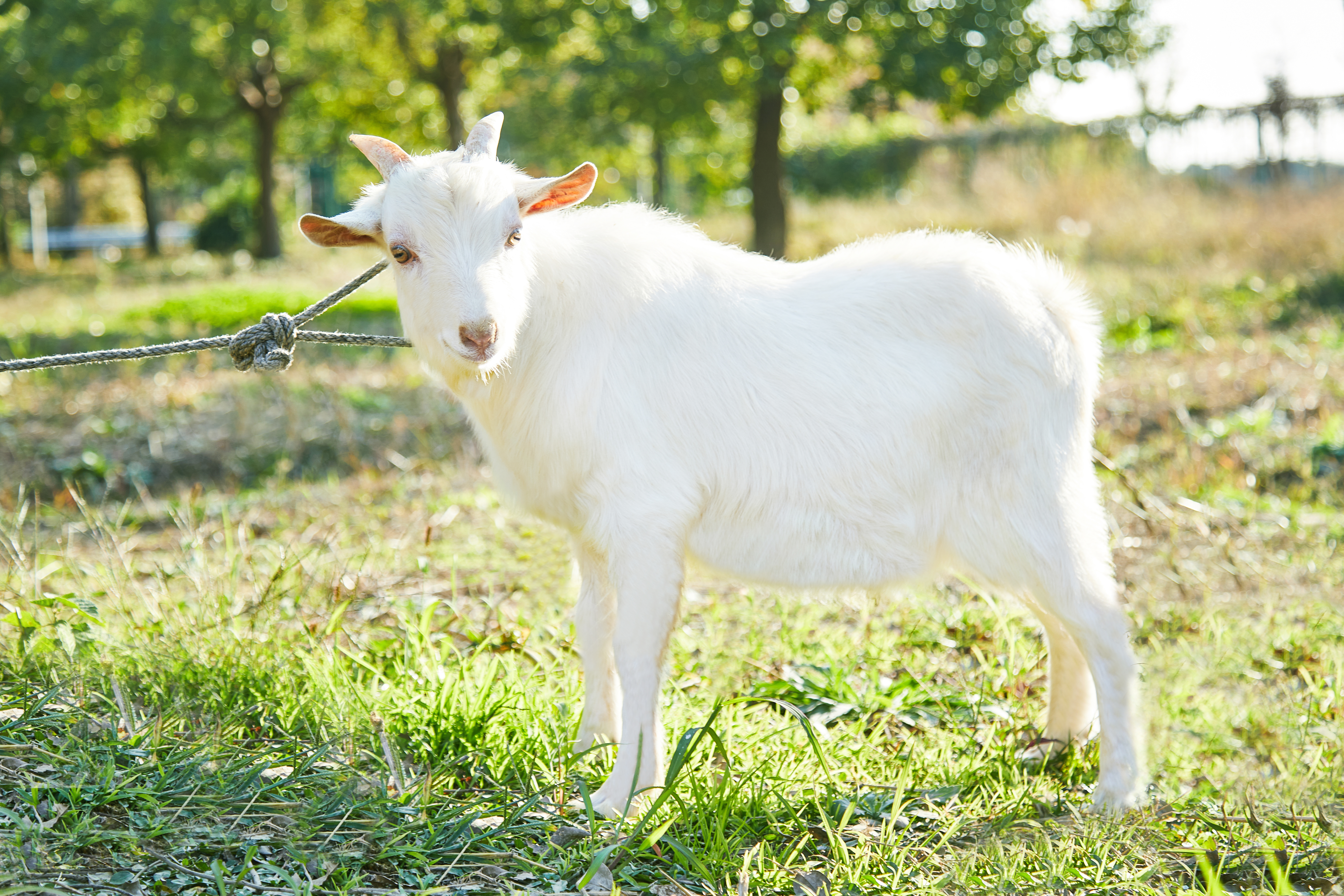 微信图片_20251029151538_725_102