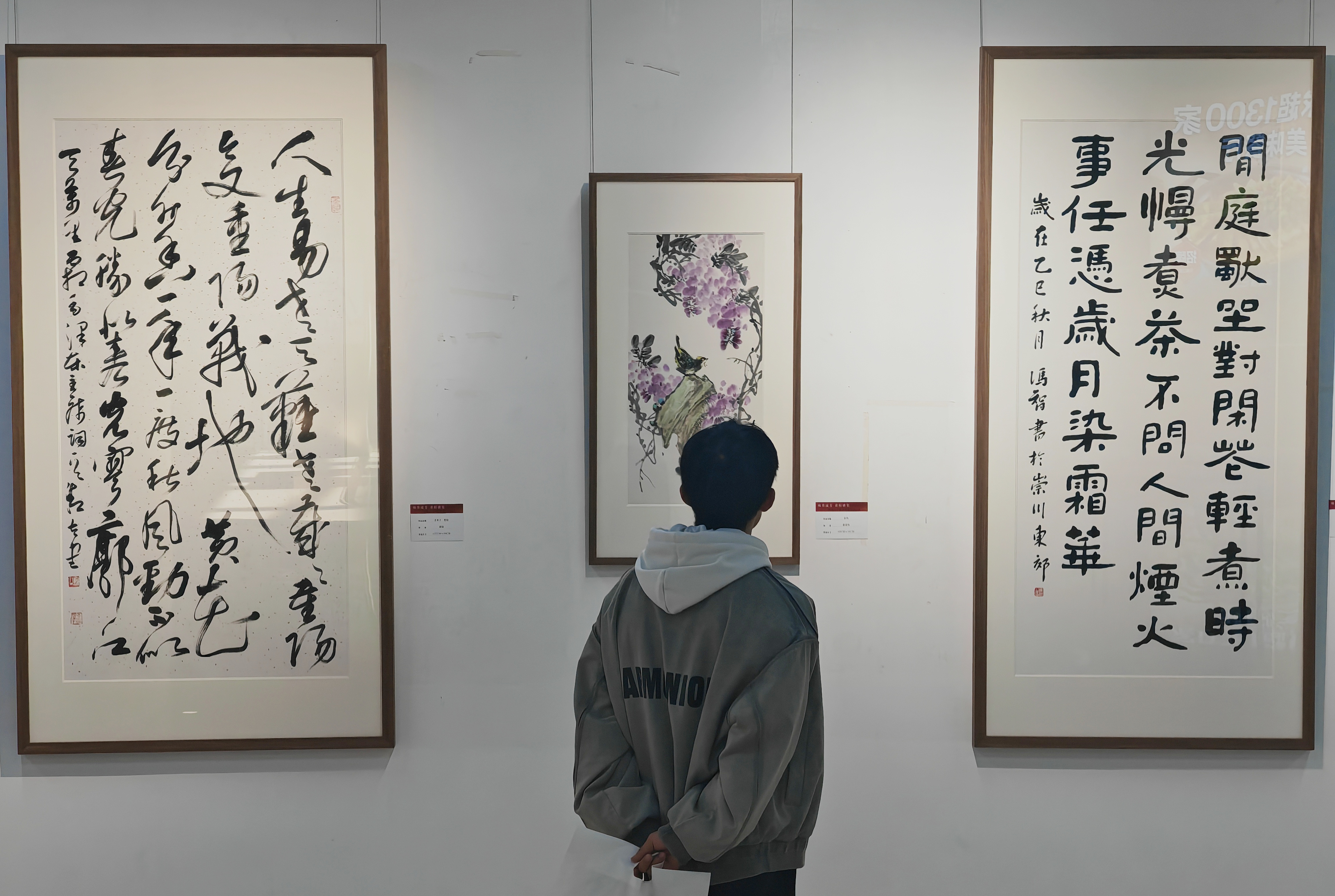 IMG_20251029_115118_1