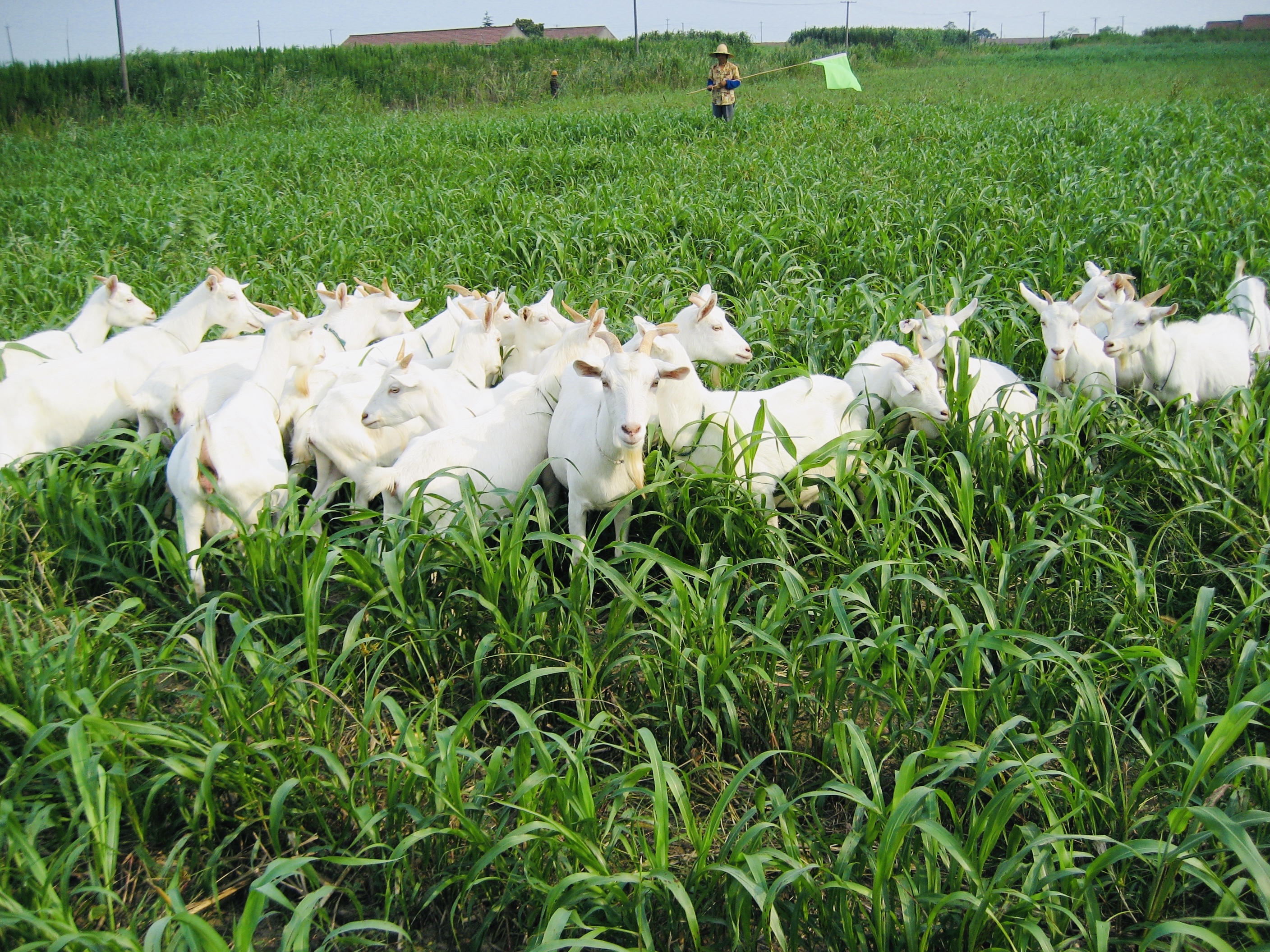 微信图片_20251029151532_724_102