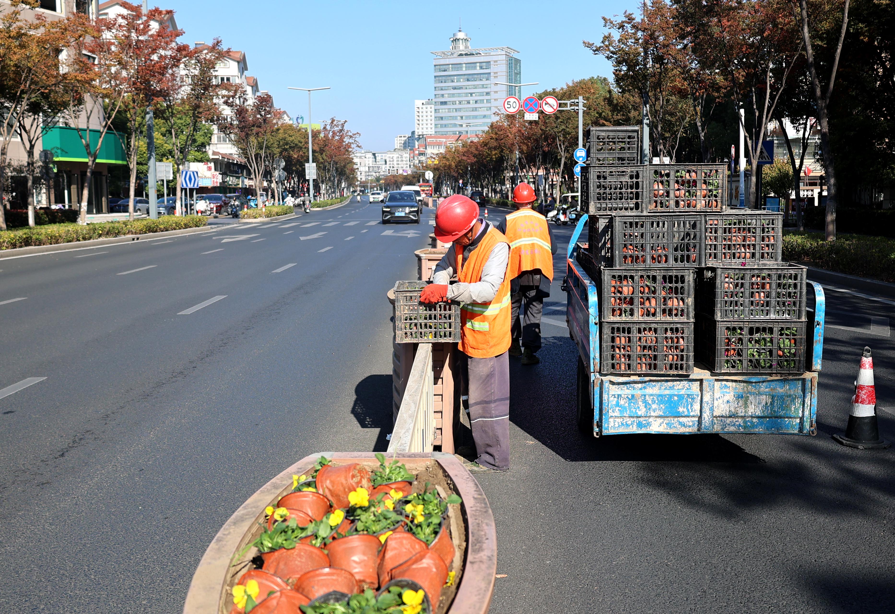 5Z2A1985 5Z2A1985.JPG