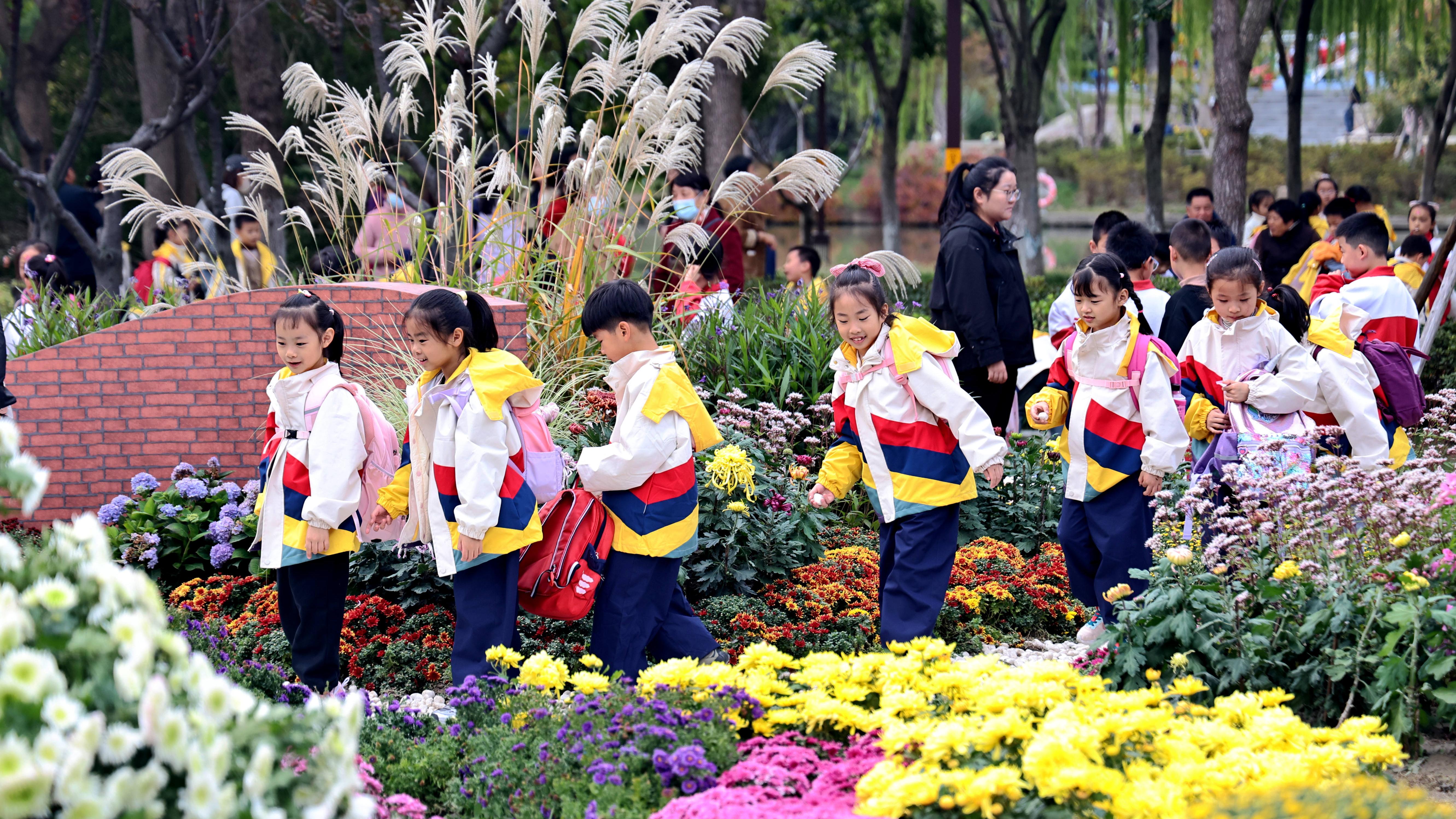秋季研学正当时