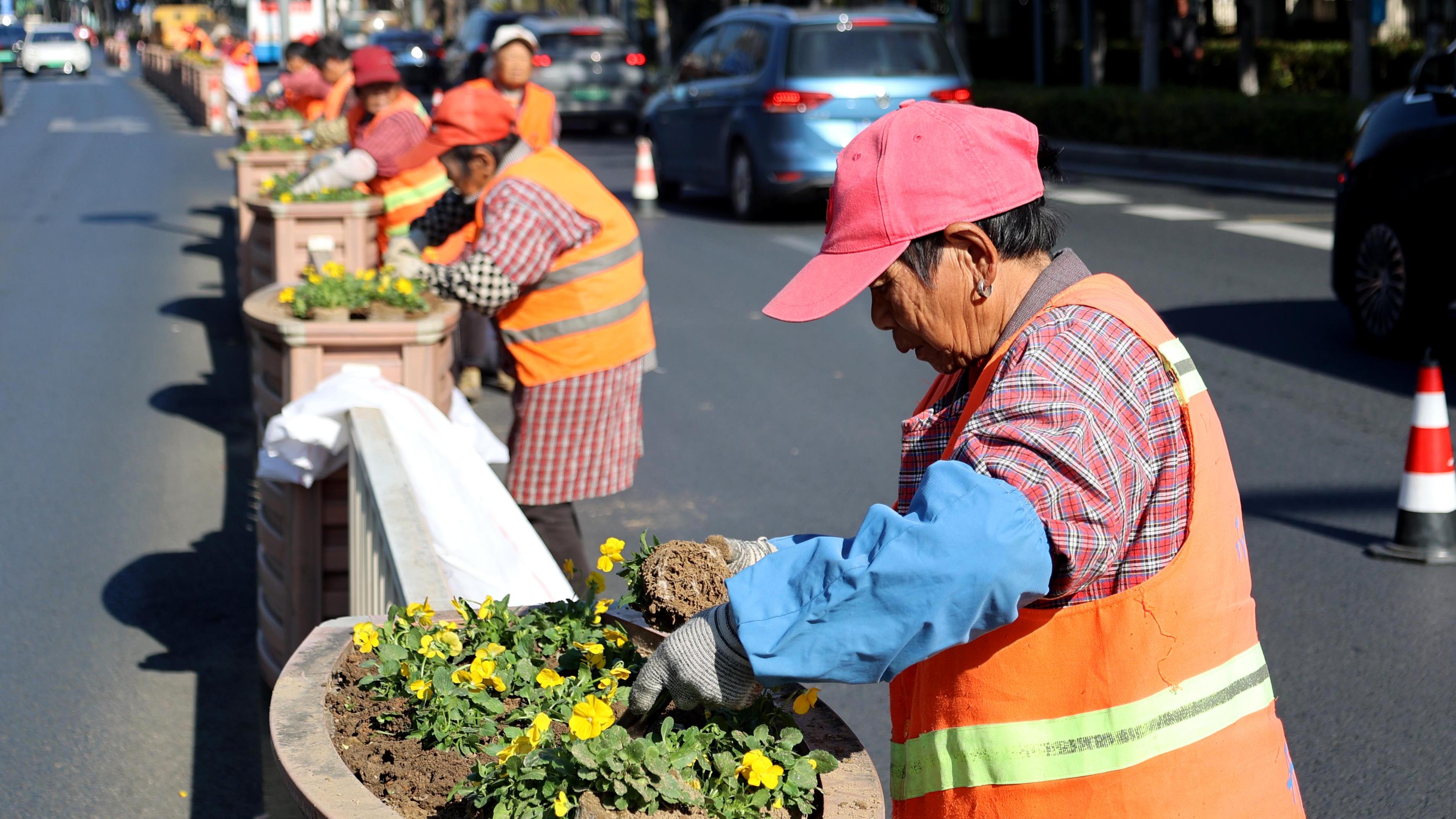 立冬临近，“花”样焕新！通城主干道开启“冬装”模式