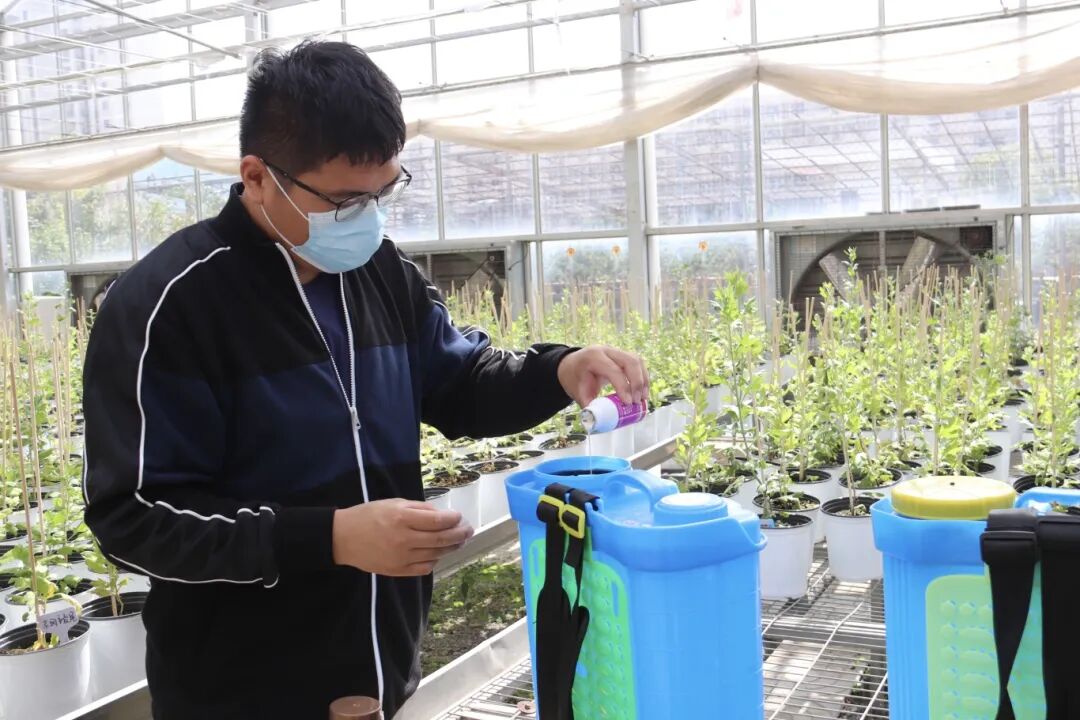 南通科院优秀校友付元生亮相国际学术会议