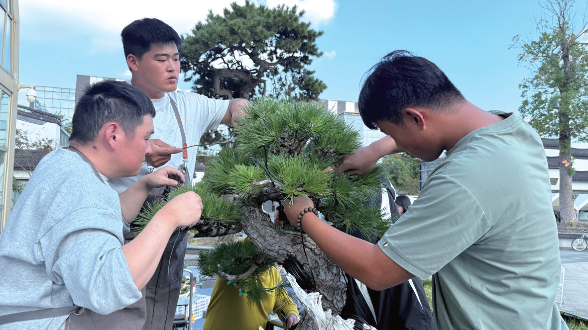 大师“传真经”，新秀“亮绝活” | 如皋盆景“匠艺荟”上演技艺接力