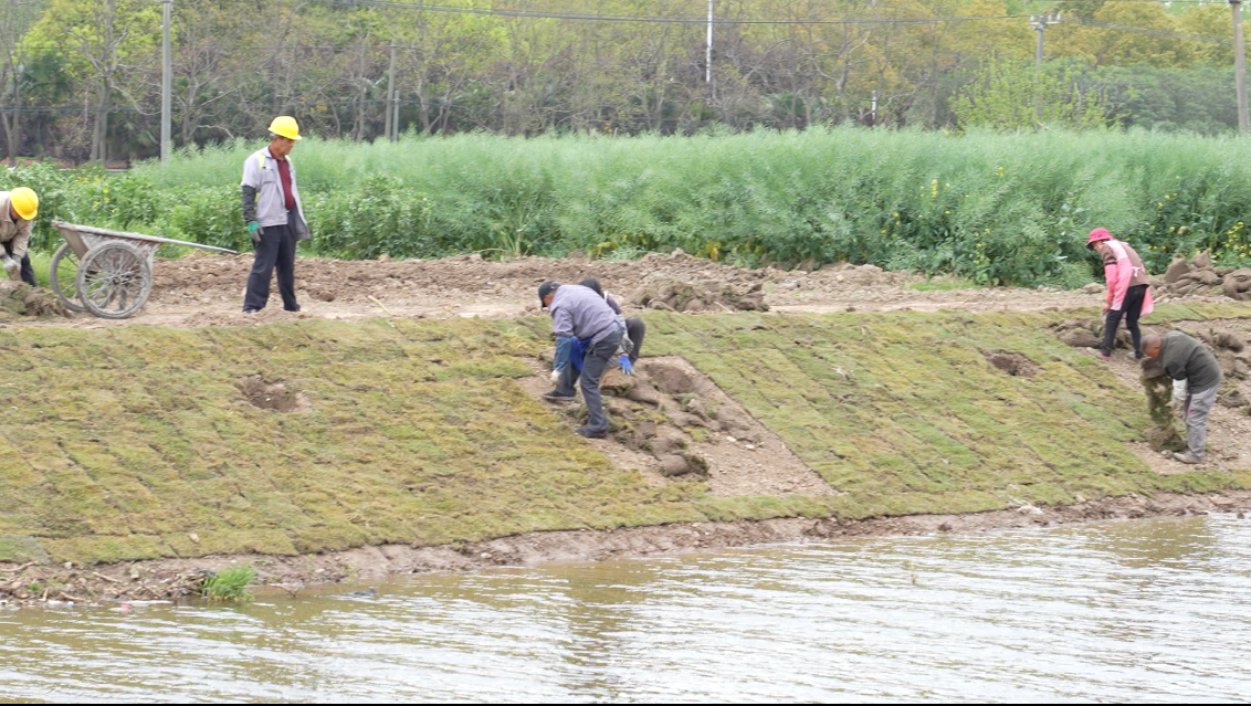 微信图片_2025-11-06_084441_203 微信图片_2025-11-06_084441_203.png