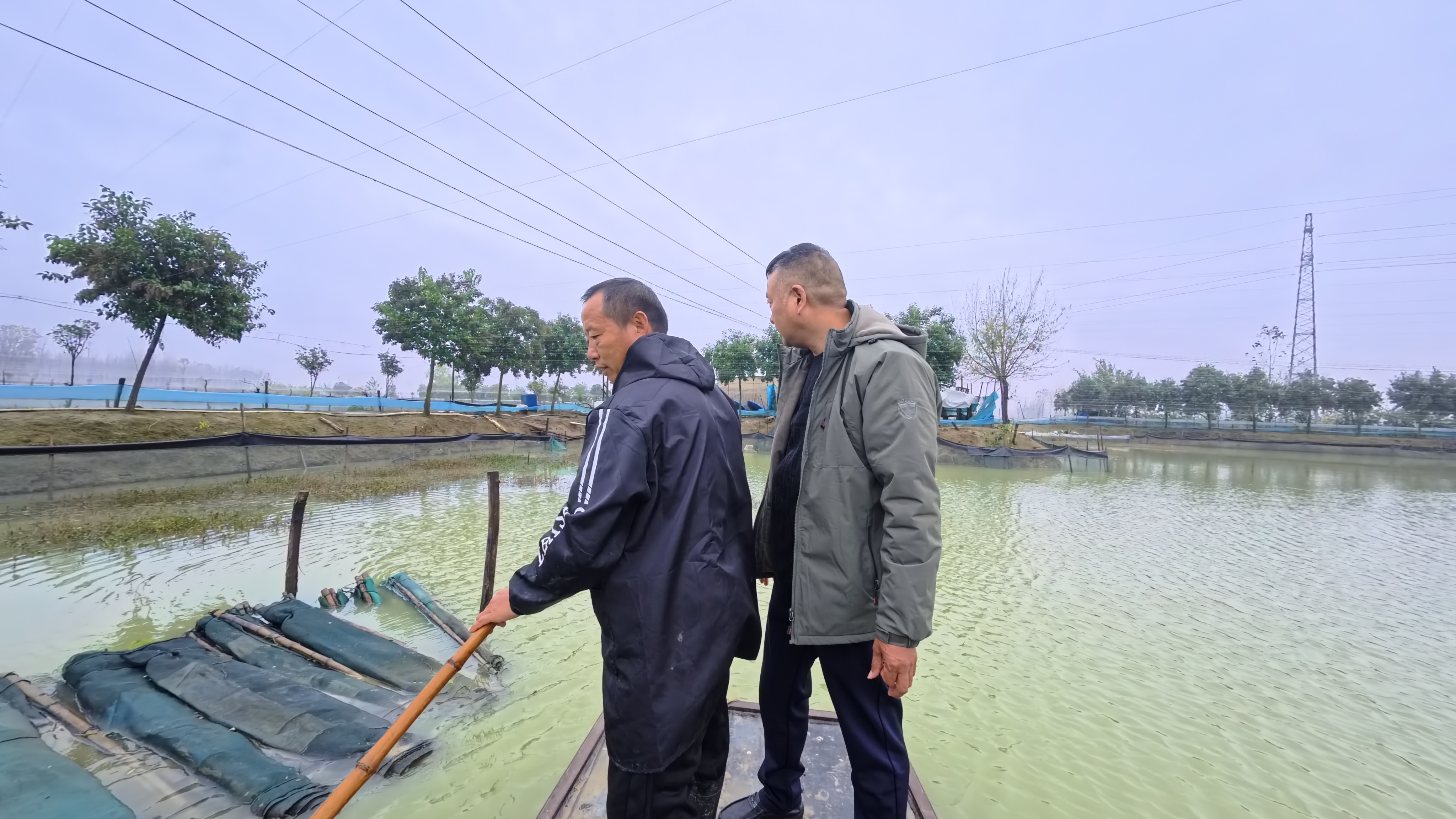 微信图片_20251112184127_199_158