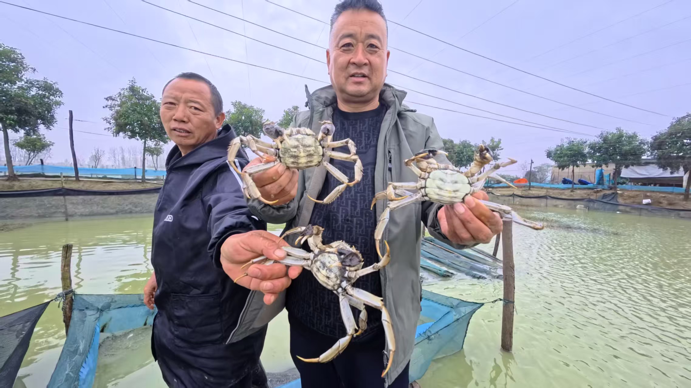 微信图片_20251112184107_198_158