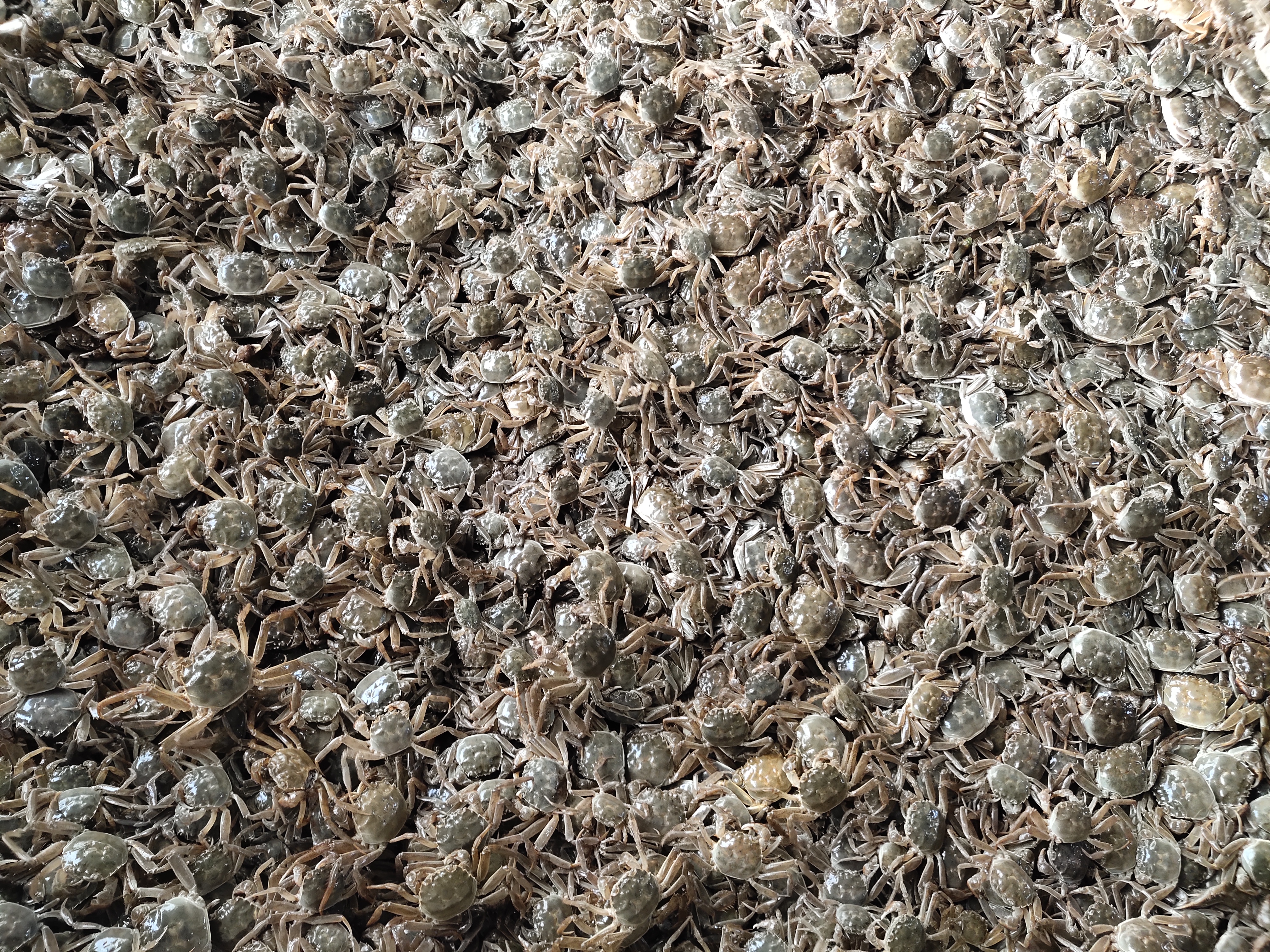 微信图片_20251112185033_200_158