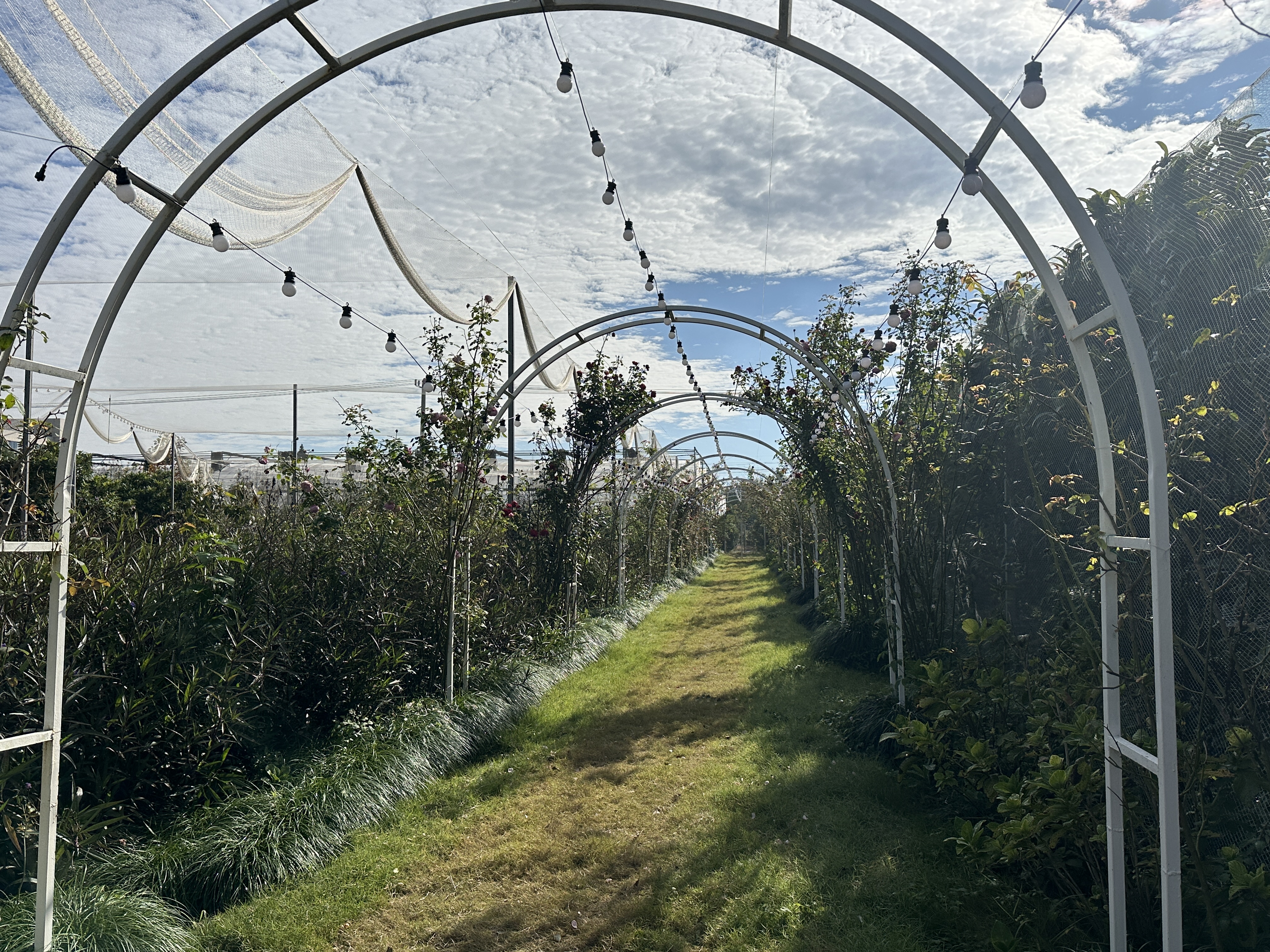 微信图片_20251113172619