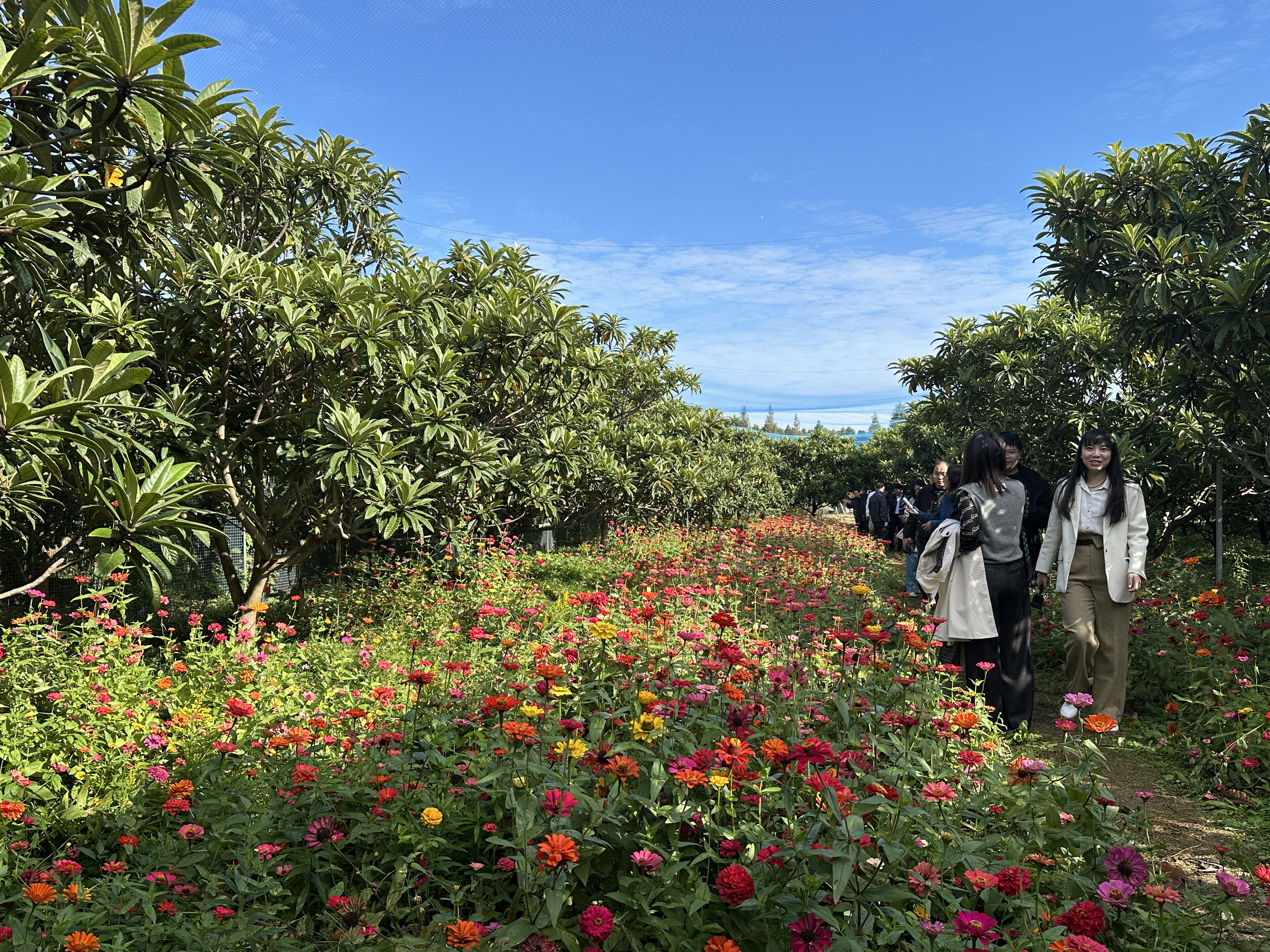 聚焦发展脉动，见证繁荣图景 | 通州开展“大金沙” 繁荣新闻采访行动