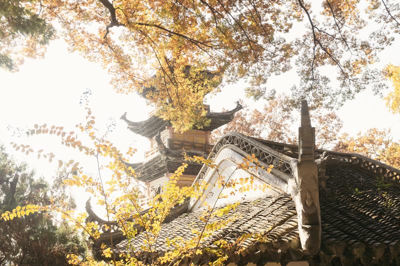 微信图片_20251120162518_68_537