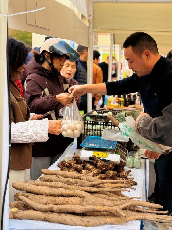 微信图片_20251122175833_27_679