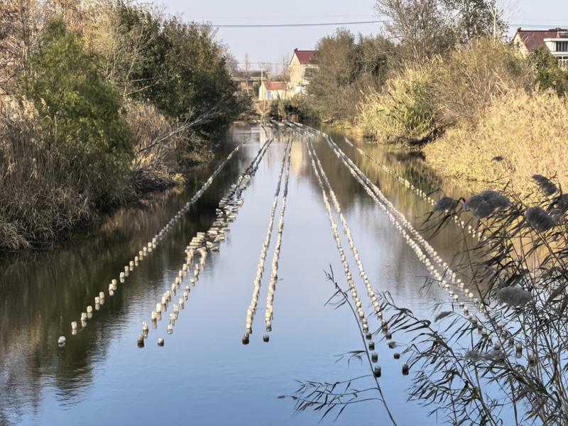 正在上传... 3d5f6efe1c5c38dae3b61b6161e9431d.jpg