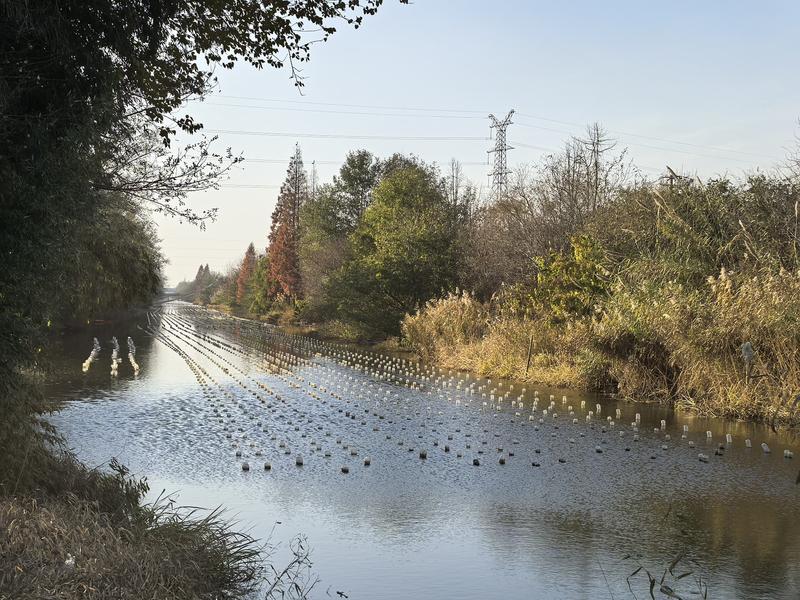 47cbf3fed789ff249747f4c43230c718 47cbf3fed789ff249747f4c43230c718.jpg