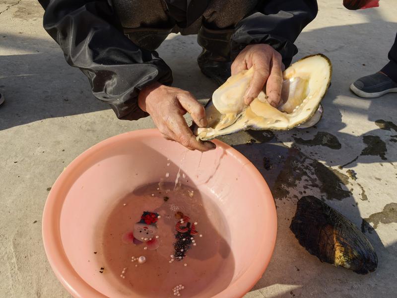 正在上传... 938f1595f0af3f60afa1c7a3045984e9.jpg