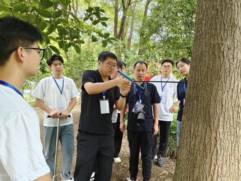 给古树名木“精准画像” | 南通379株百年古树全面“建档”