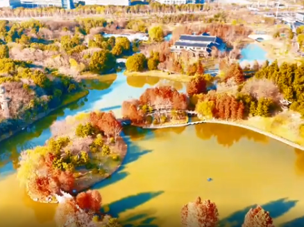 冬日航拍：南通啬园景色如画