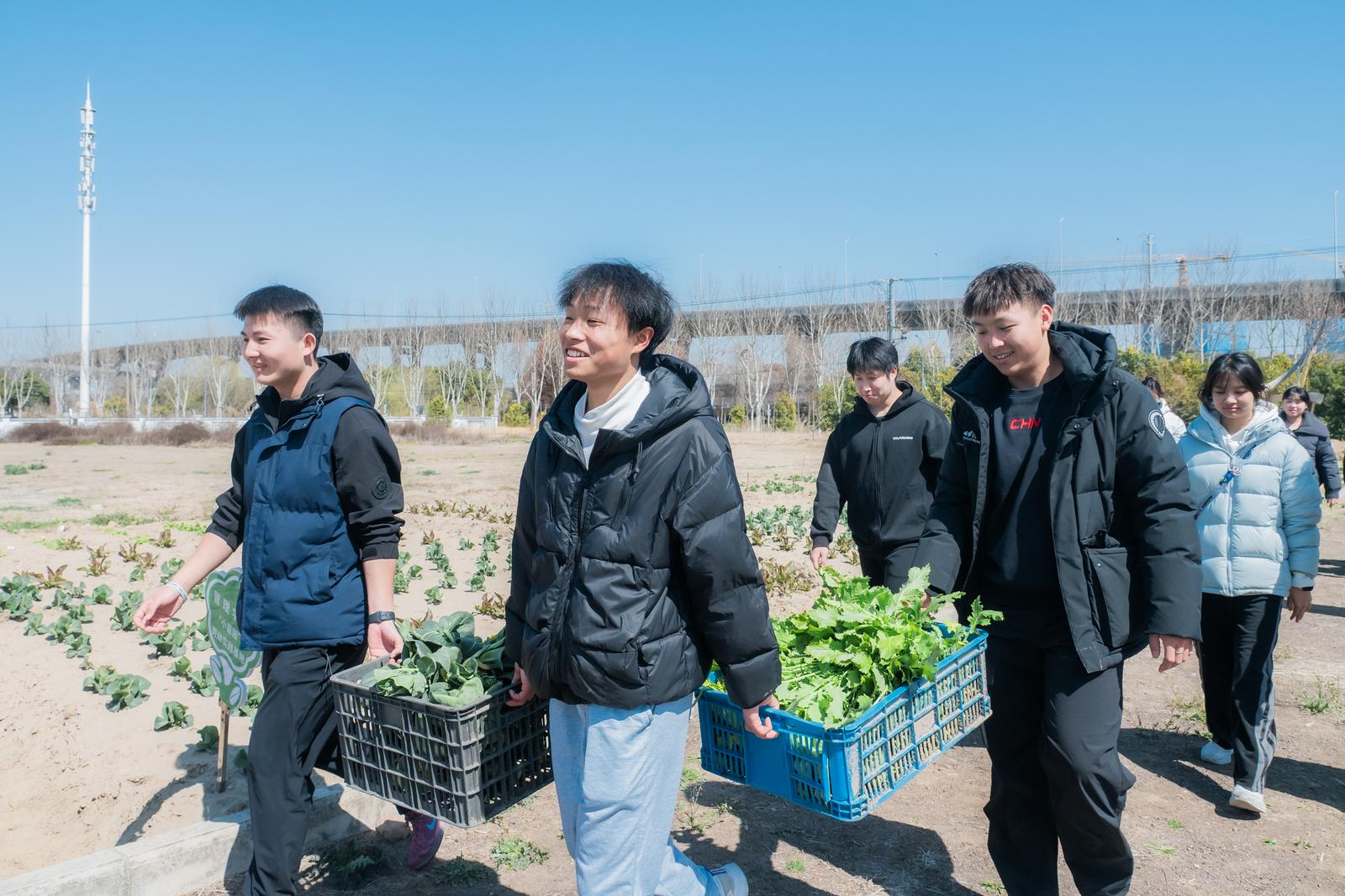 小苗园里躬身劳作 大食堂中共享丰收 | 通师高专开展跨时节劳动教育实践活动