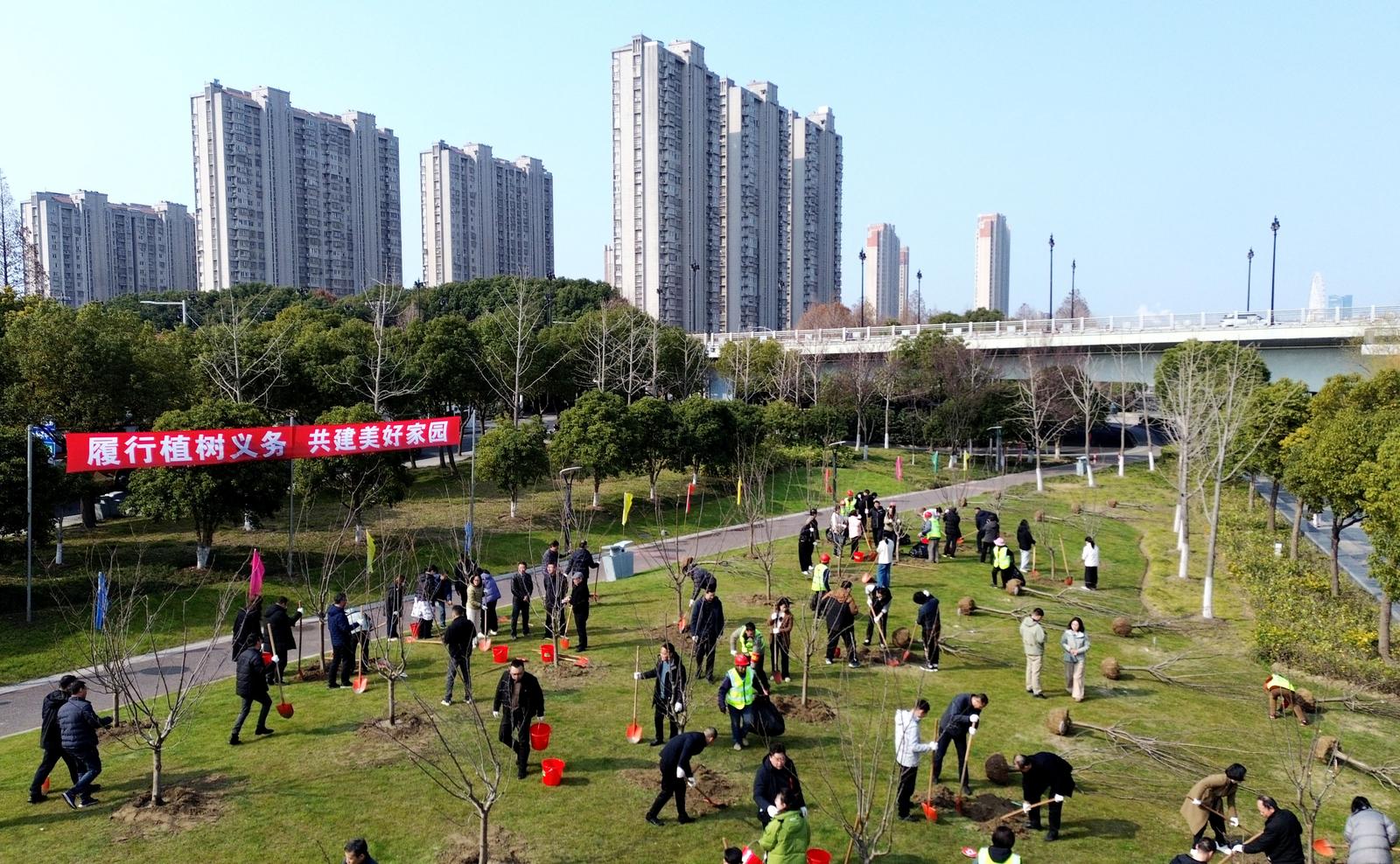 苗木再利用添新绿 通吕运河畔栽下100株樱花树苗