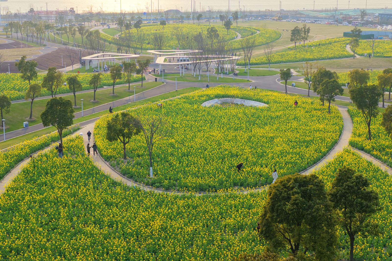 滨江花海赏春光渐入佳境