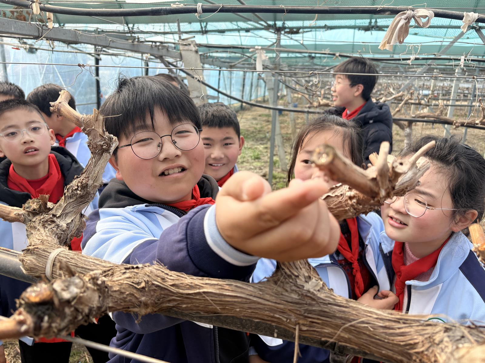 把课堂搬进农场，用劳动播种绿色希望 | 如东河口小学开展沉浸式植树实践活动