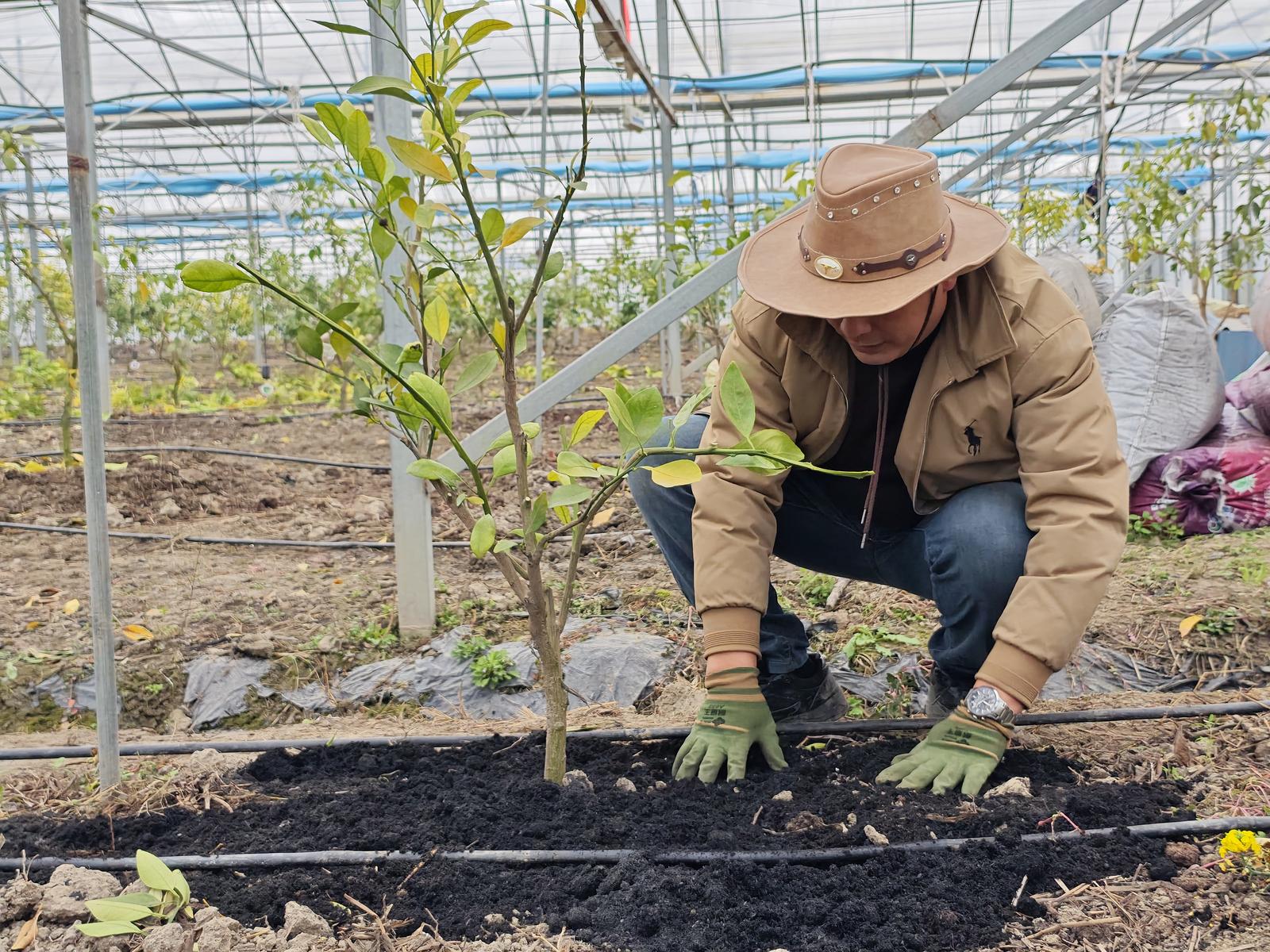 “动动手指就能干好农活” | 如东双爱家庭农场“AI”管家“智”管千亩田