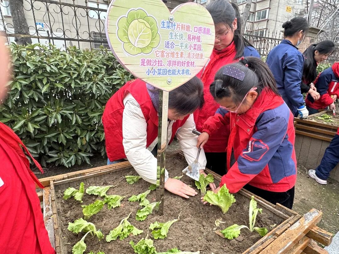 春染校园绿 童心向阳光 | 海门区能仁小学第二届“花草节”举行