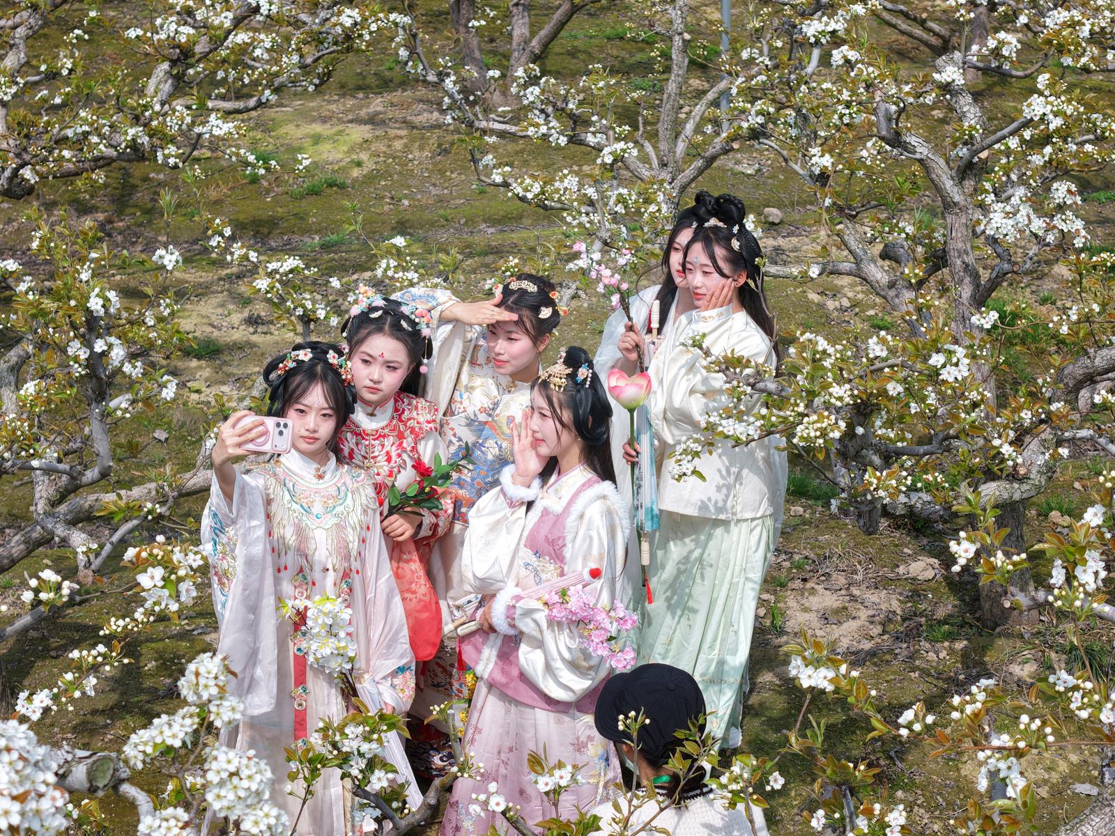 如东：千亩梨园梨花季活动精彩纷呈