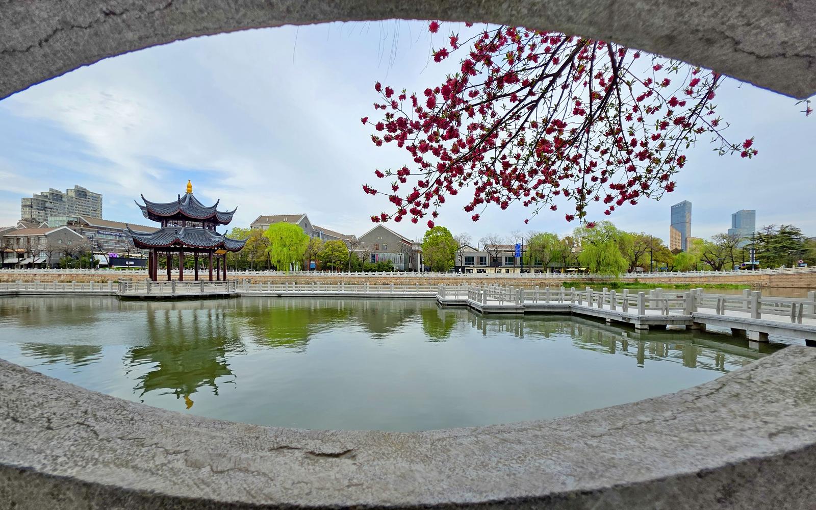 南通博物苑春花正艳