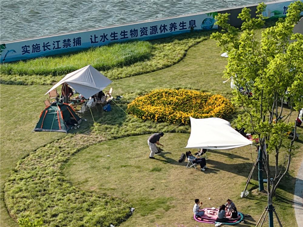滨江岸线初夏景如画
