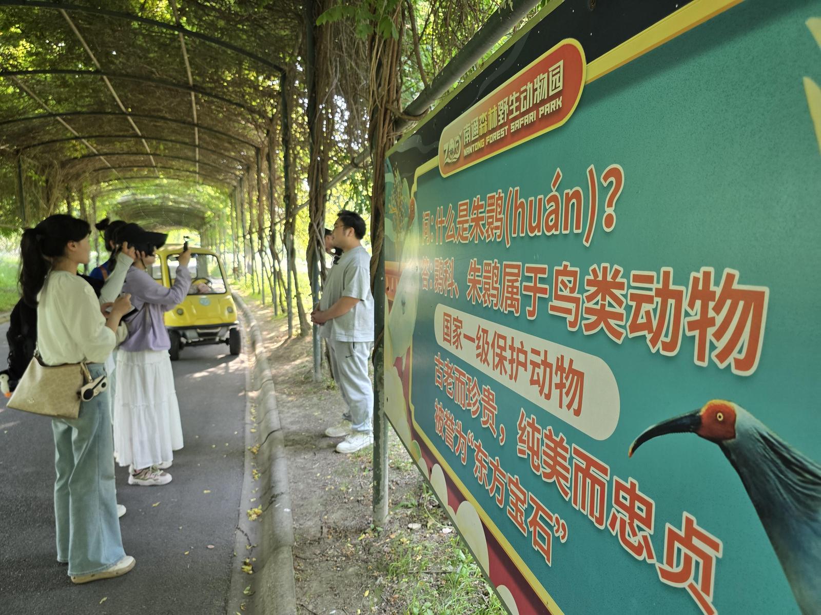 视频 | 汉中融媒跨省聚焦落户南通“友好使者”朱鹮