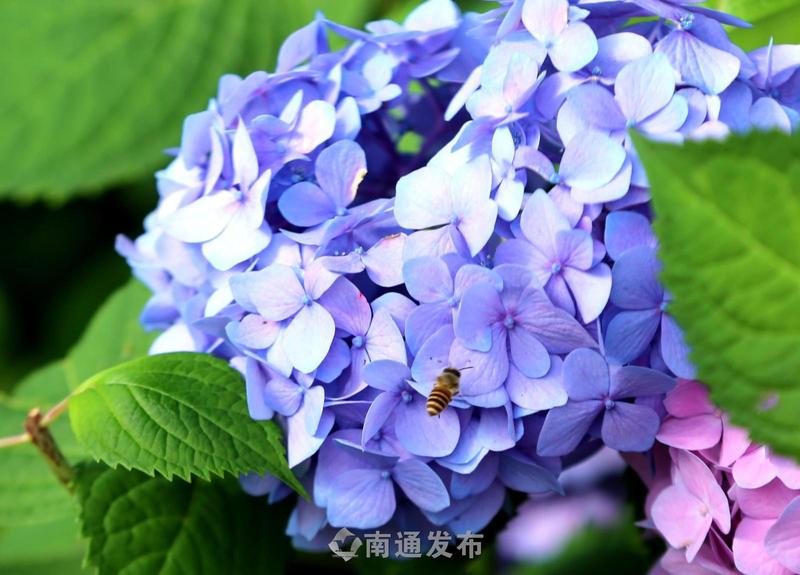 N13A4853.JPG