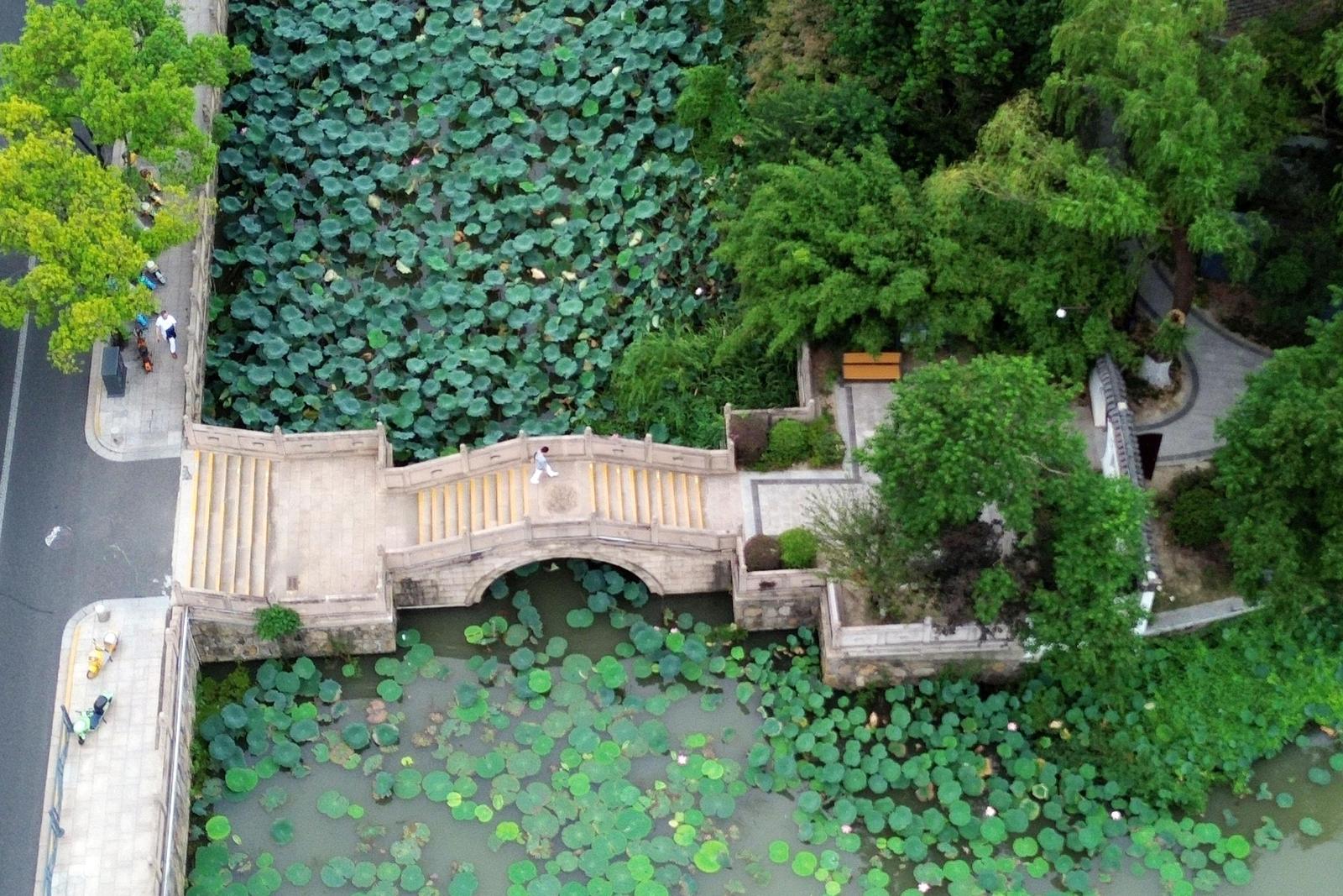 三怡相映濠河畔 秋景浸润红色记忆