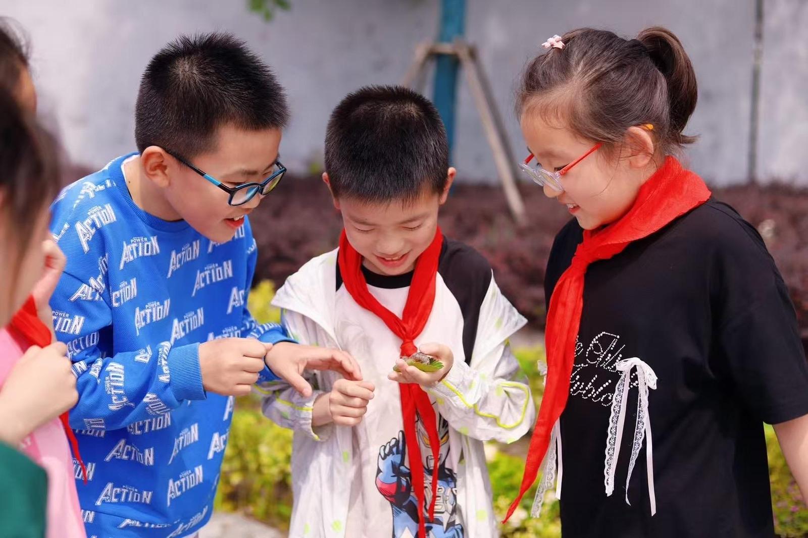 枣红枝头，甜上心头 | 如东县友谊路小学劳动育人润物无声