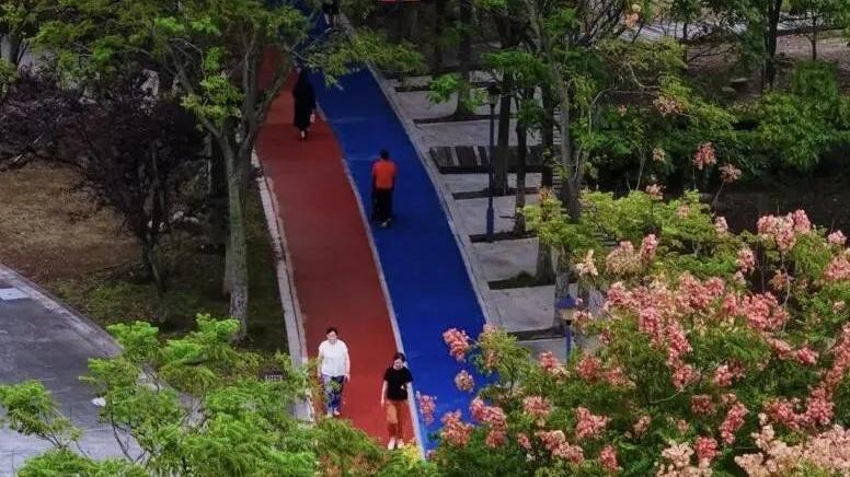 启东城区紫薇公园改造旧貌换新颜 成居民日常休闲舒适去处